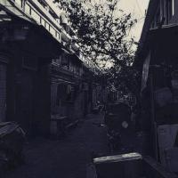 小莺莺 制谱师头像