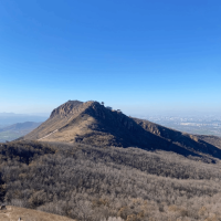 憨老斯吉他 制谱师头像