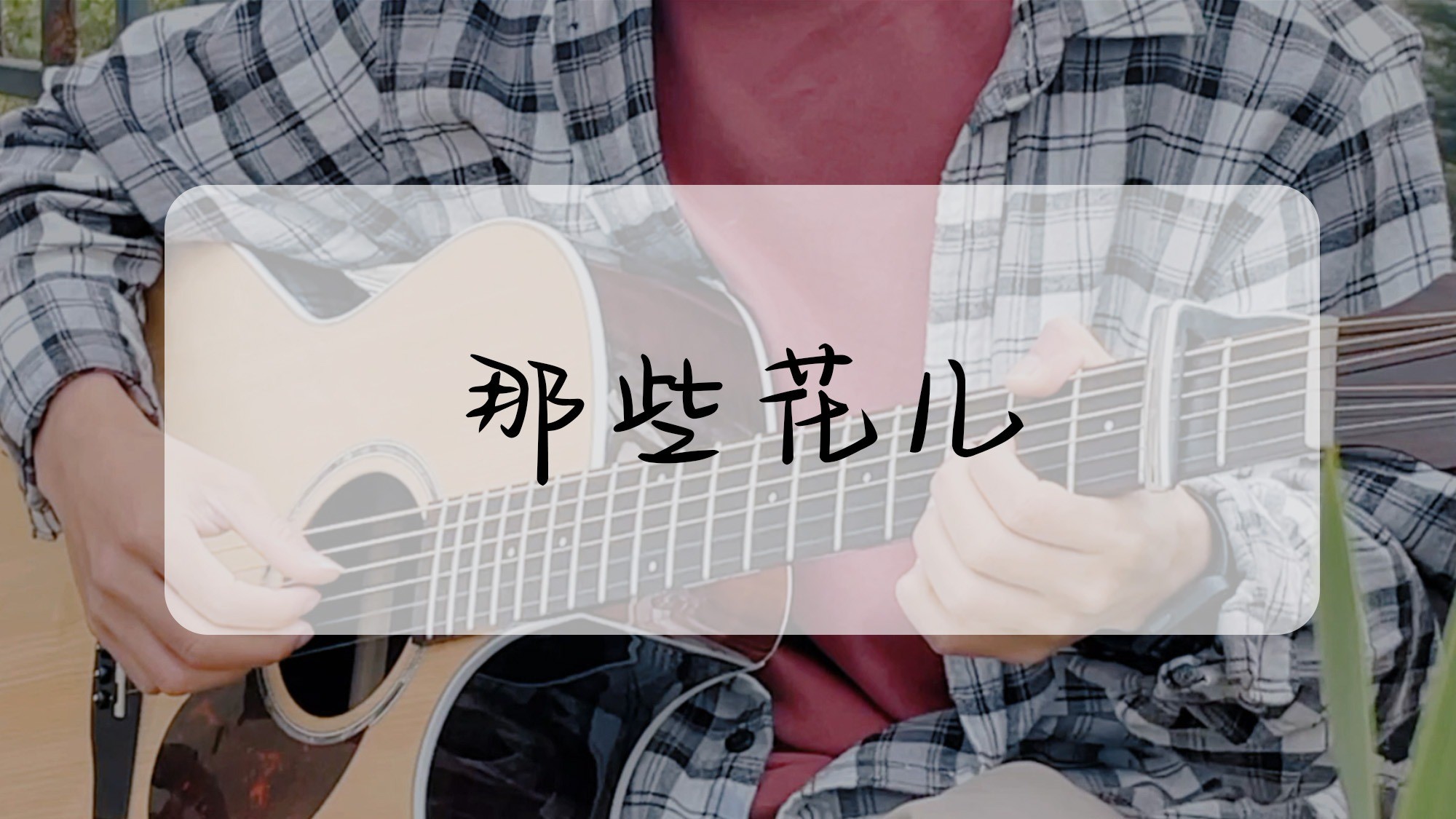 单曲速成：《那些花儿》