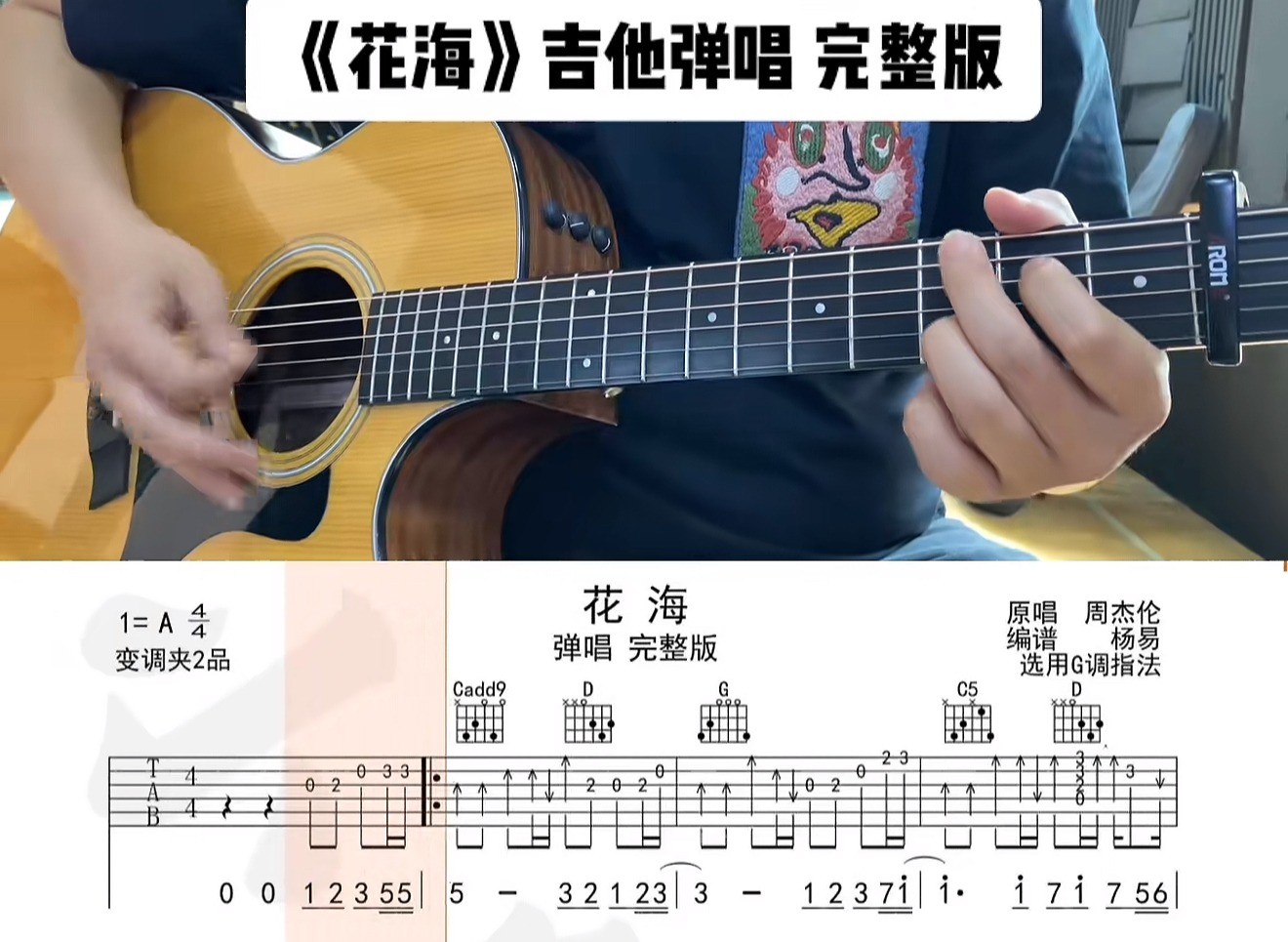 单曲速成：《花海》课程封面图