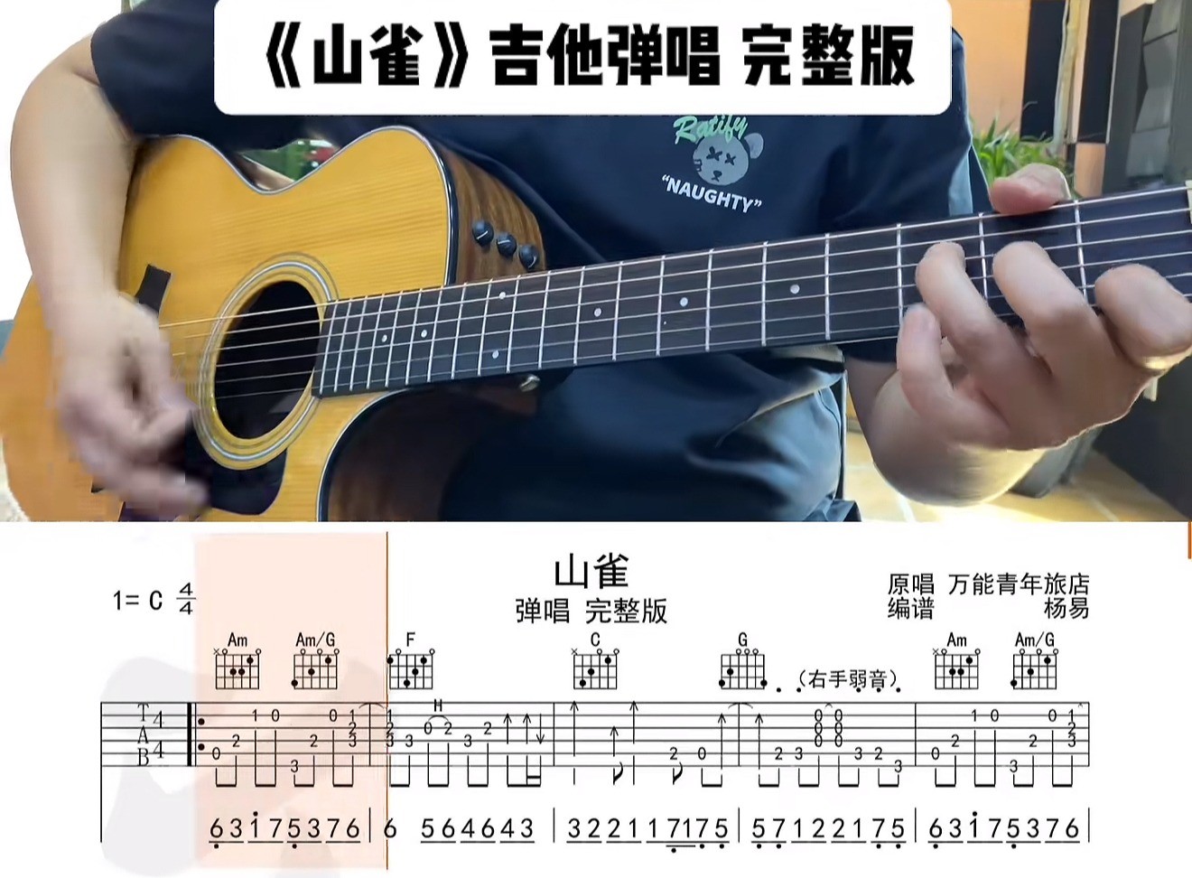 单曲速成：《山雀》课程封面图