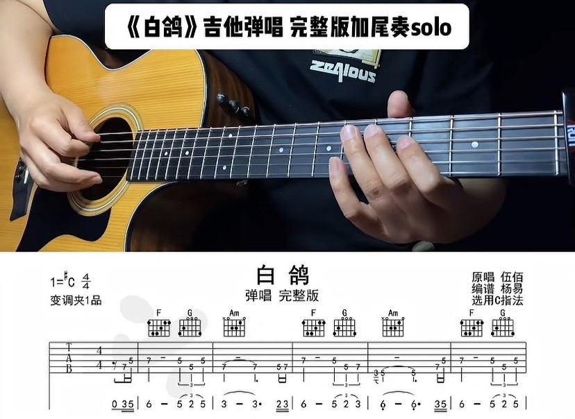 单曲速成：《白鸽》课程封面图