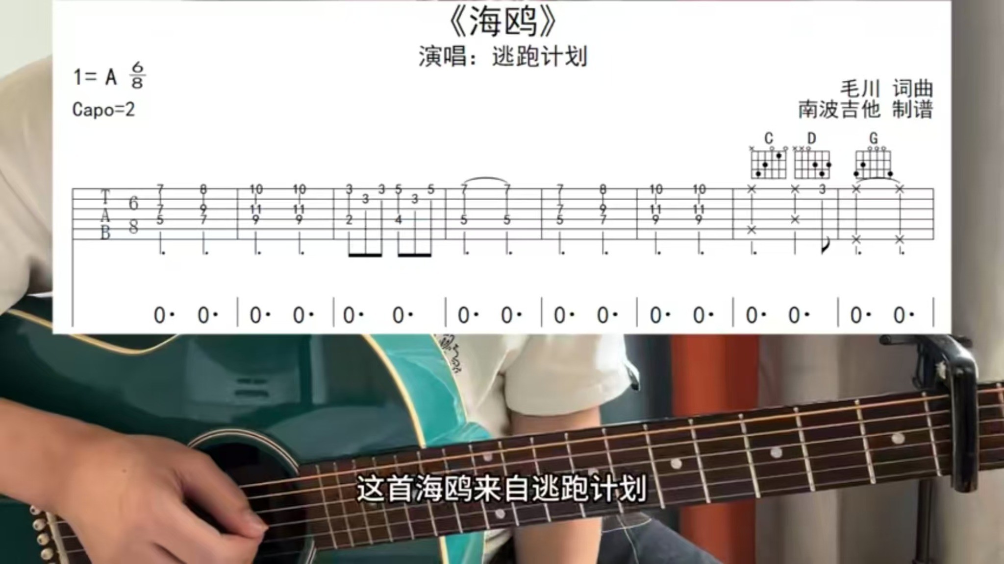 单曲速成：《海鸥》
