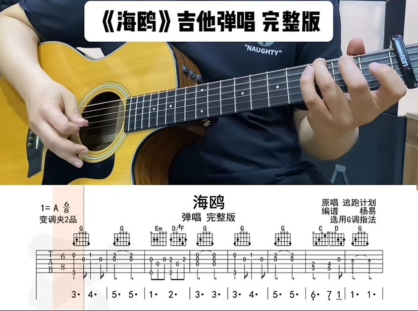 单曲速成：《海鸥》课程封面图