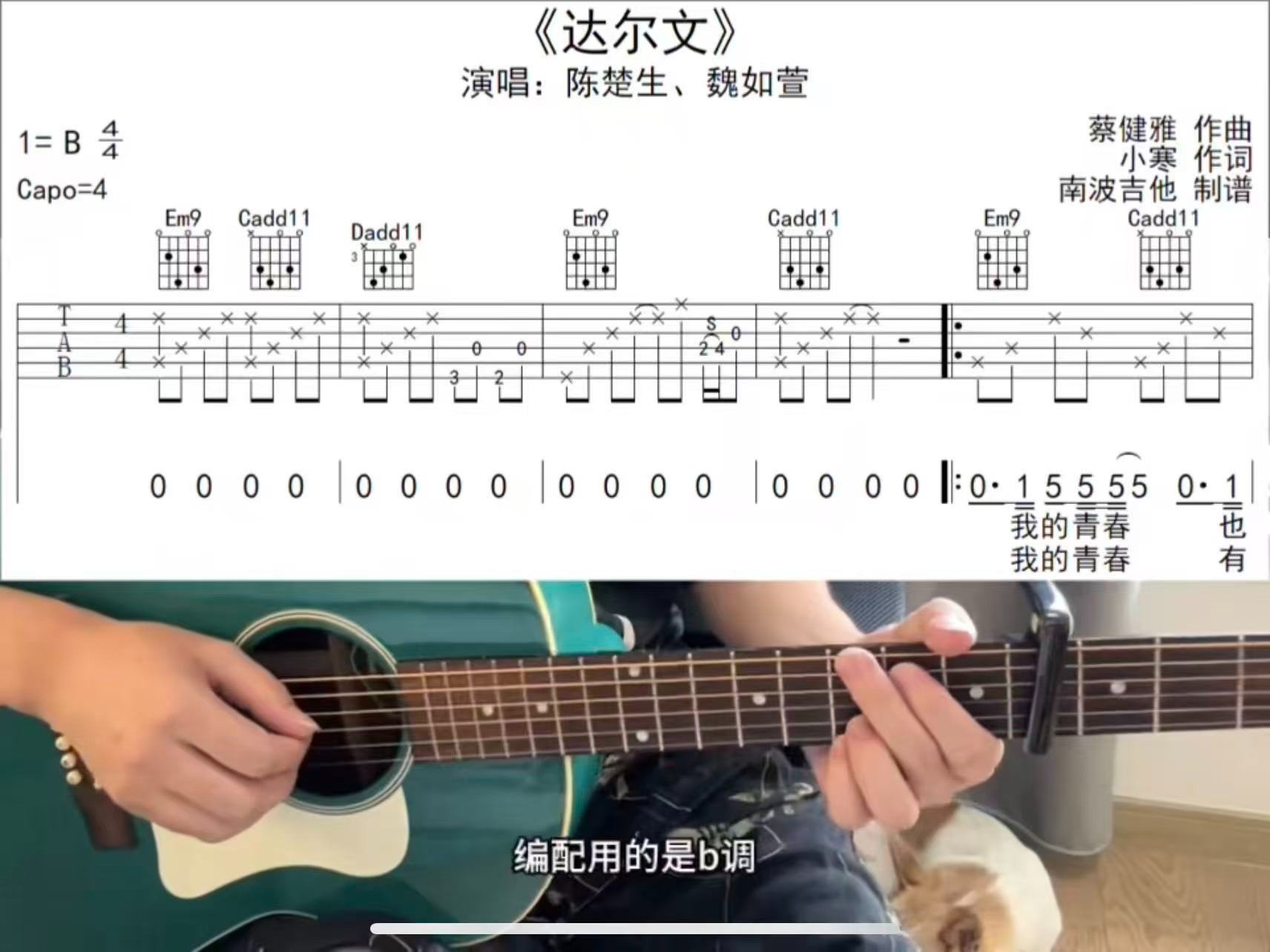 单曲速成：《达尔文》