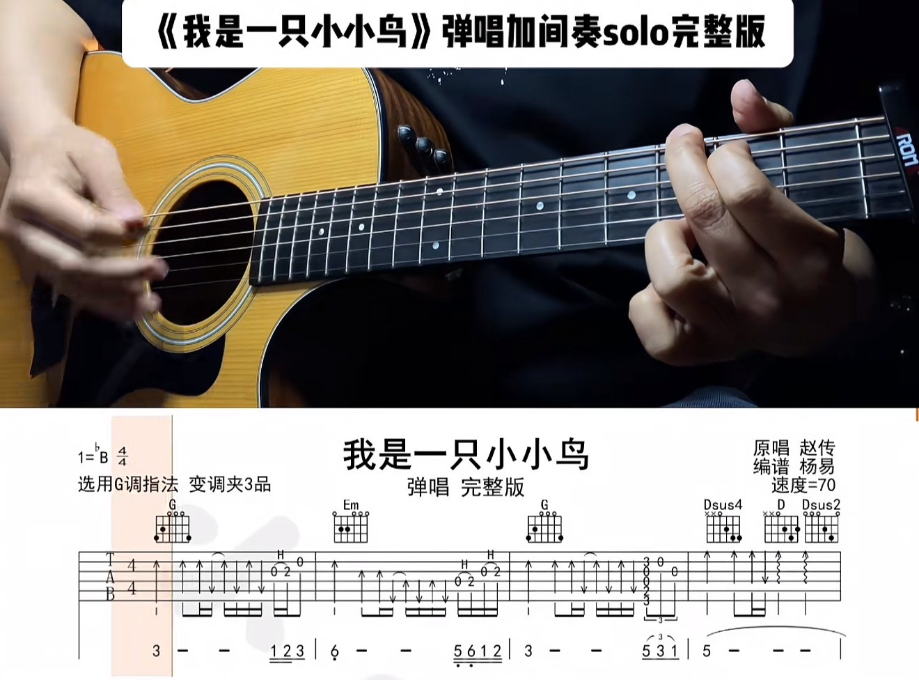 单曲速成：《我是一只小小鸟》课程封面图