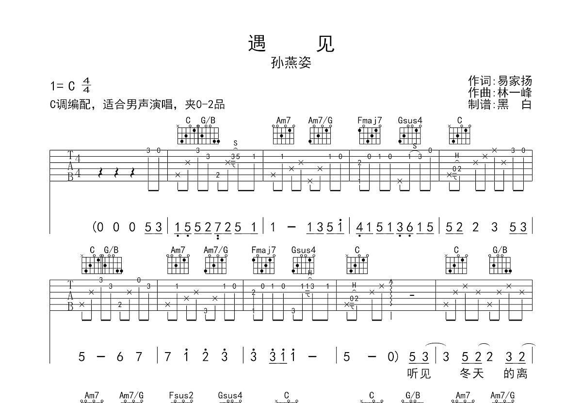 《遇见》 简单版 吉他弹唱教学 孙燕姿 歌谱简谱网