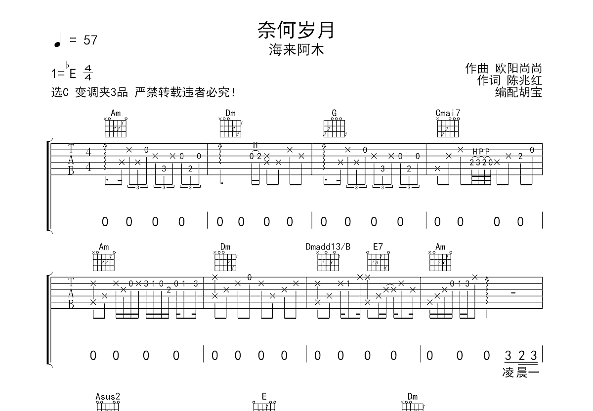 奈何岁月吉他谱_海来阿木_c调弹唱81%专辑版 - 吉他世界