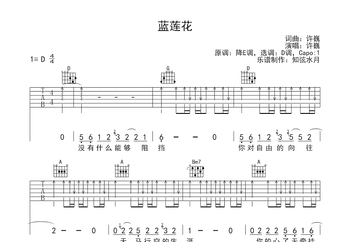 蓝莲花吉他谱 许巍 D调弹唱69 专辑版 吉他世界