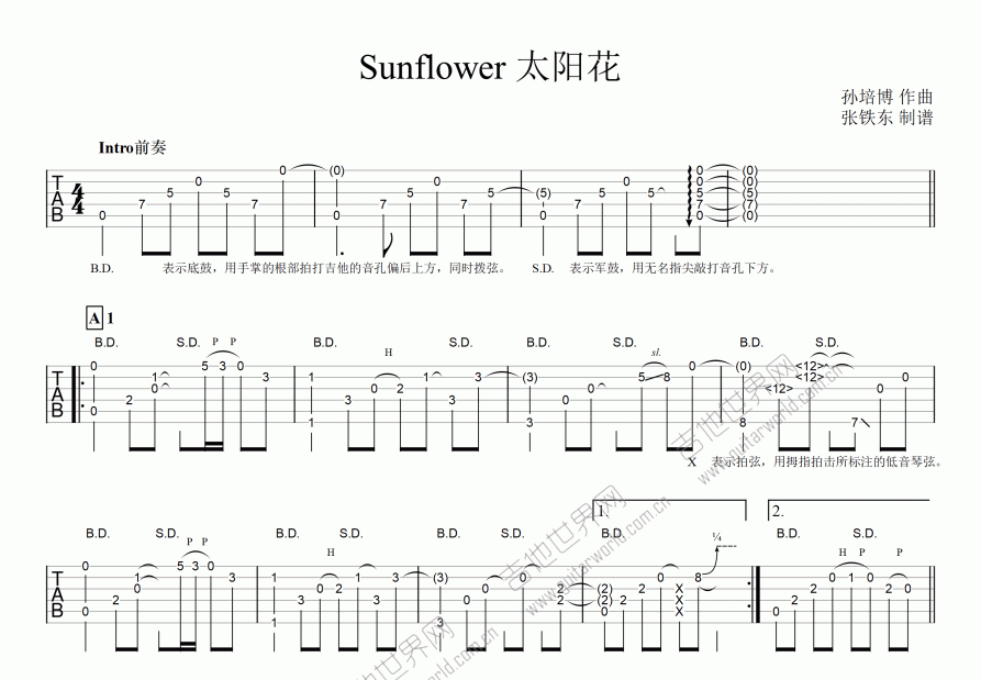 sunflower 太阳花吉他谱_孙培博_c调指弹_张铁东编配 - 吉他世界