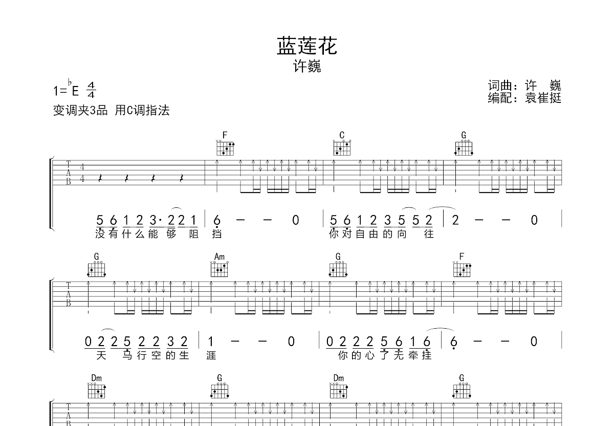 许巍 - 蓝莲花 [弹唱] 吉他谱