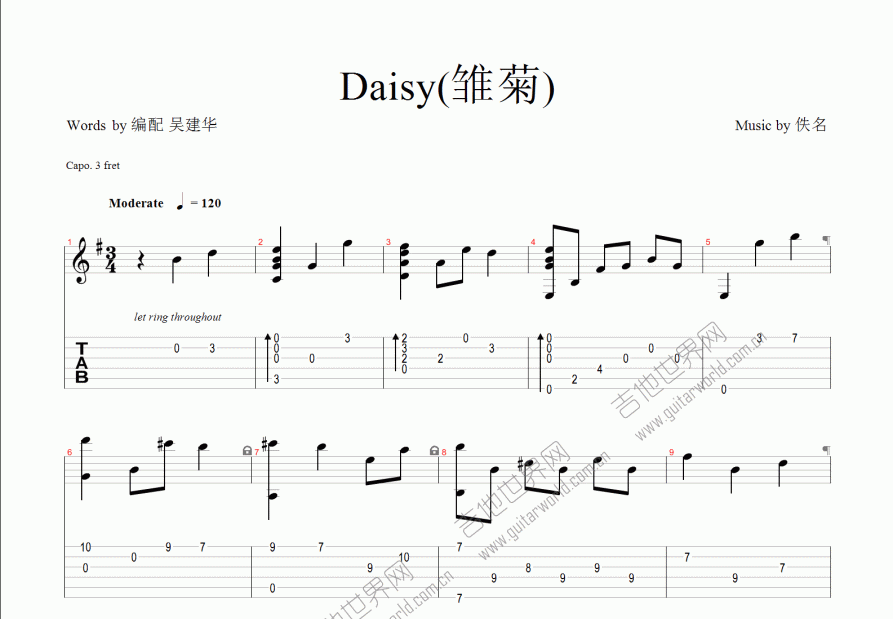 daisy雏菊