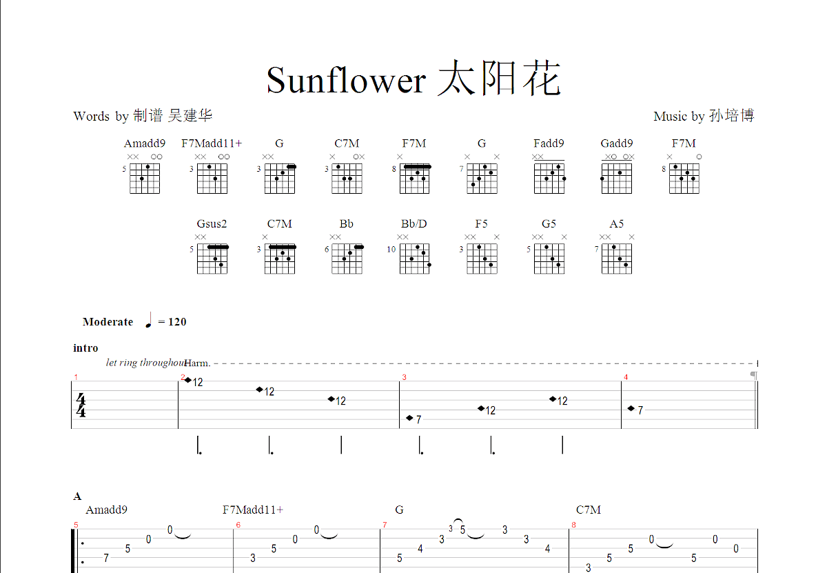孙培博Sunflower指弹吉他谱六线谱【高清版】_图片谱_17吉他网