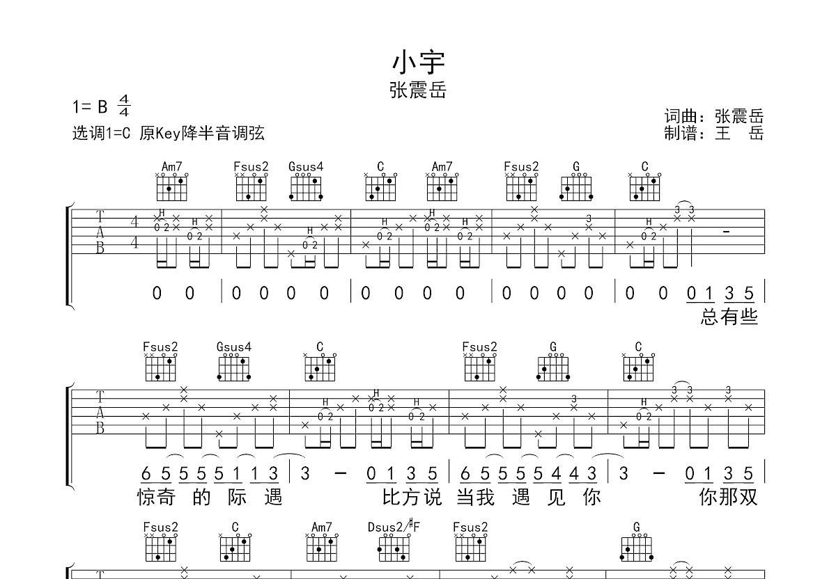小宇吉他谱(图片谱,弹唱,教学,大树乐器)_张震岳(阿岳;Chang Csun Yuk)