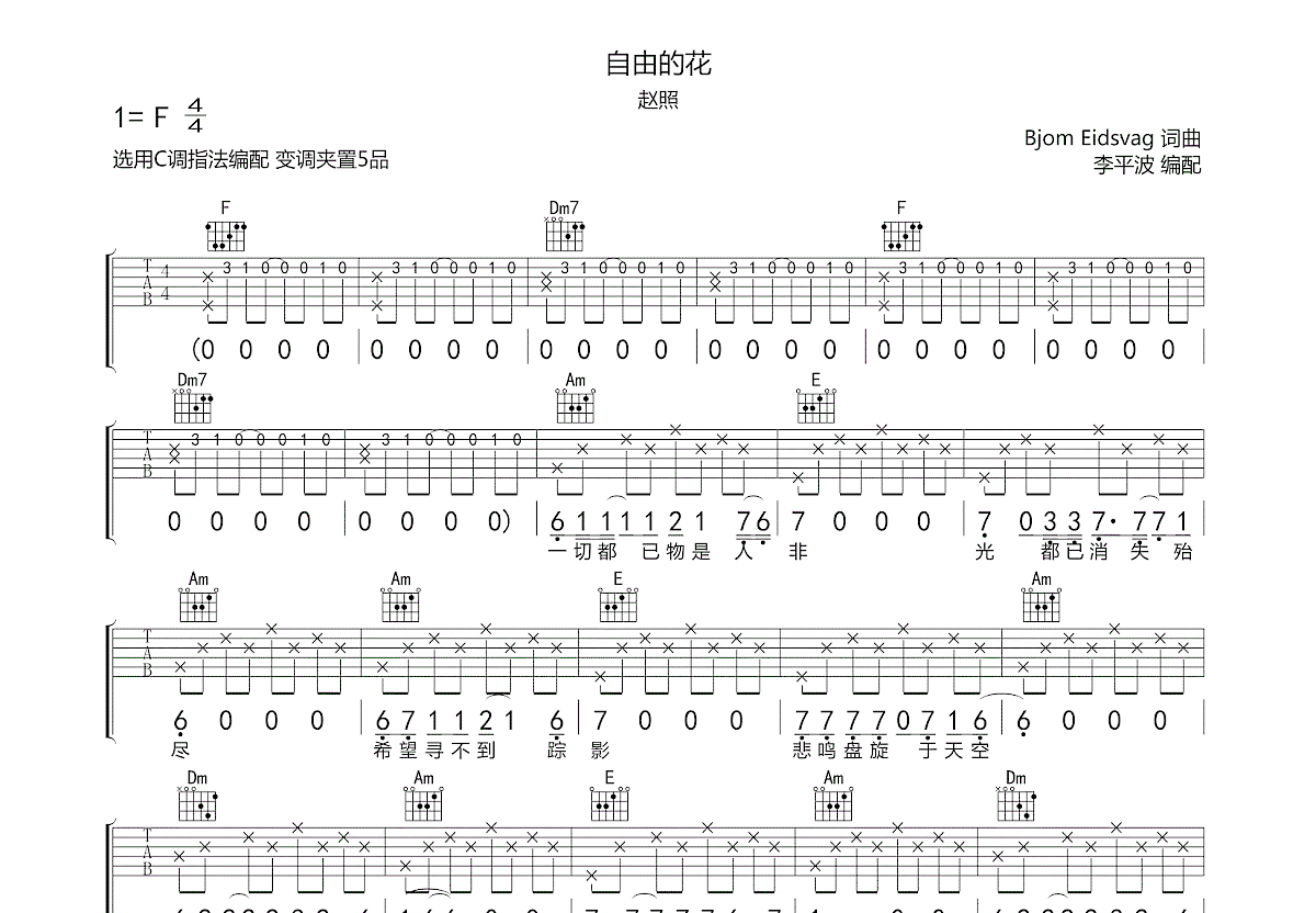 自由的花吉他谱 赵照c调弹唱77 原版 资中 Up 吉他世界