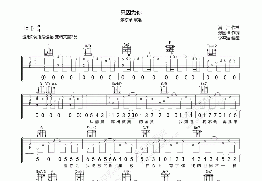 只因为你吉他谱_张栋梁_c调弹唱吉他谱 - 吉他世界