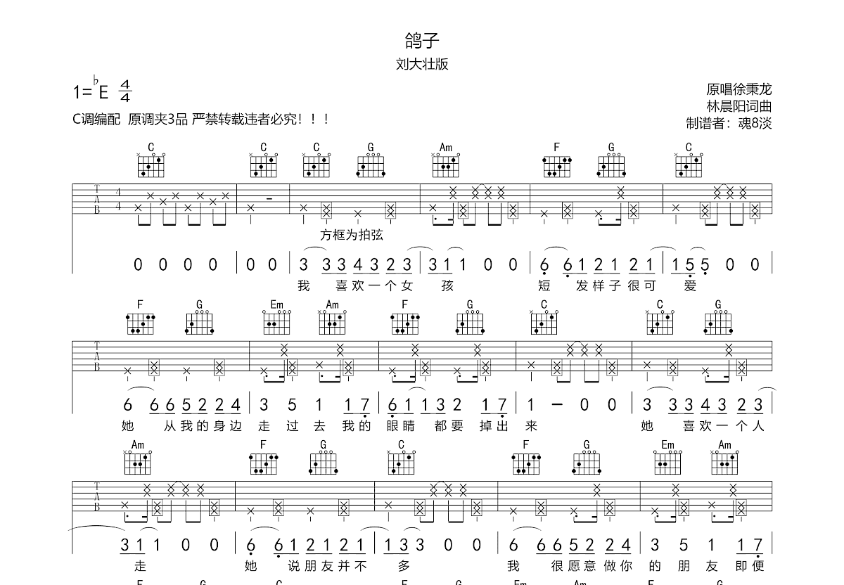 鸽子吉他谱 C调简单版-徐秉龙-吉他源
