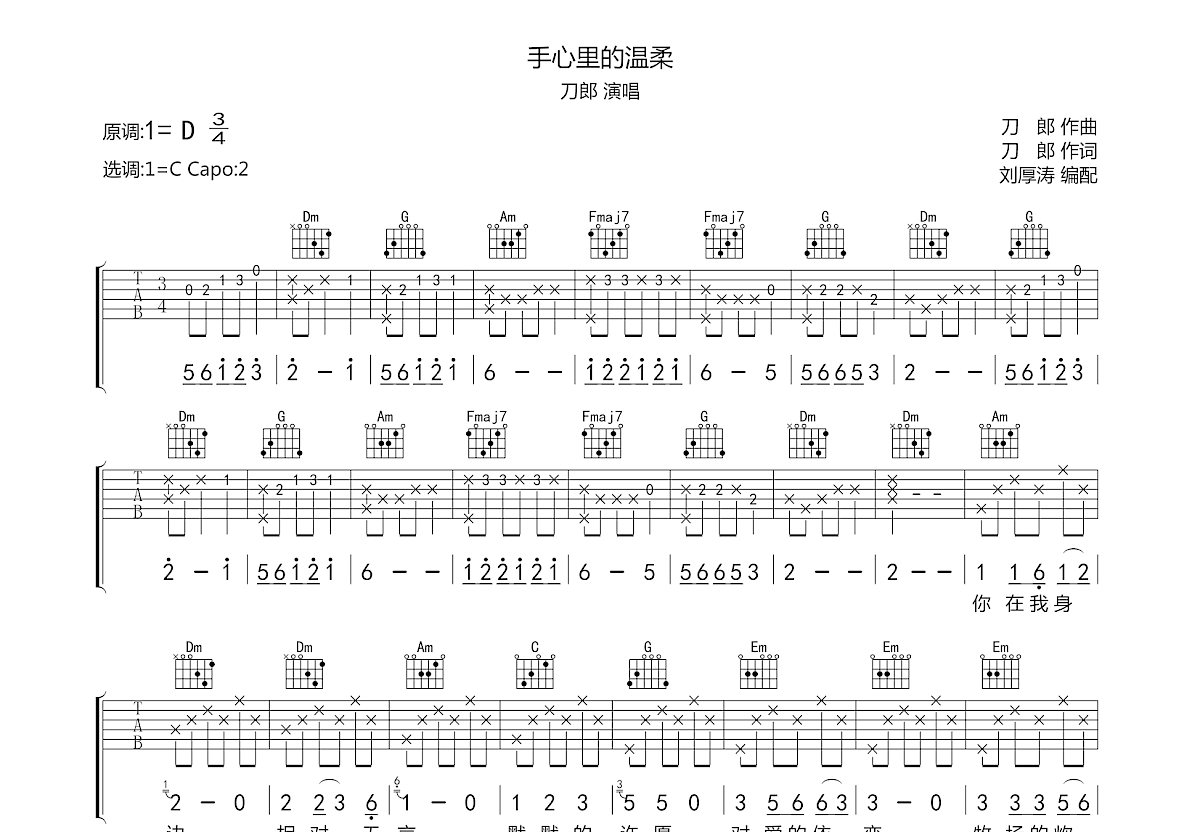 张万林的吉他演奏专辑图片