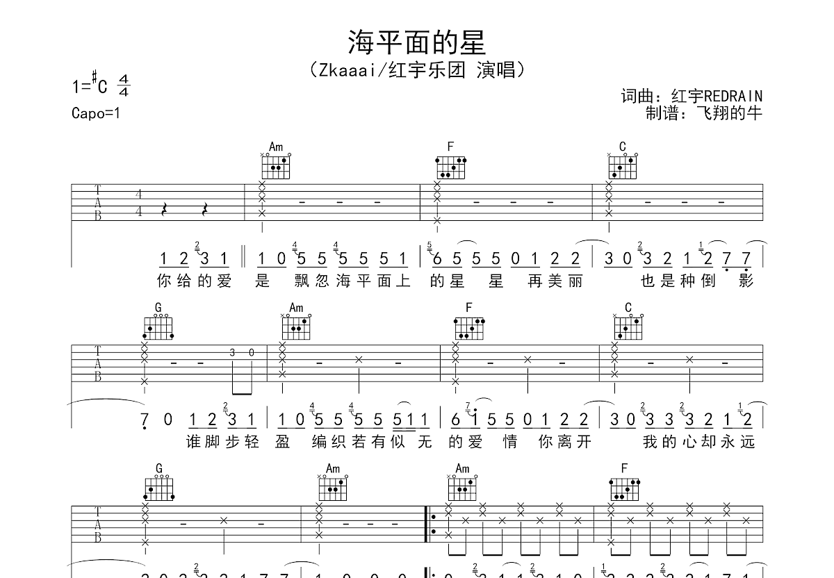 海平面的星吉他谱 Zkaaai 红宇乐团 C调弹唱91 原版 吉他世界