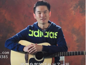 【吉他测评】第3期 farida/法丽达D-10
