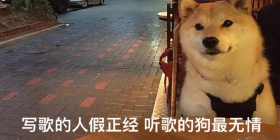 七夕 | 为什么搞音乐的你还没有脱单？