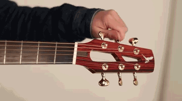 16.gif