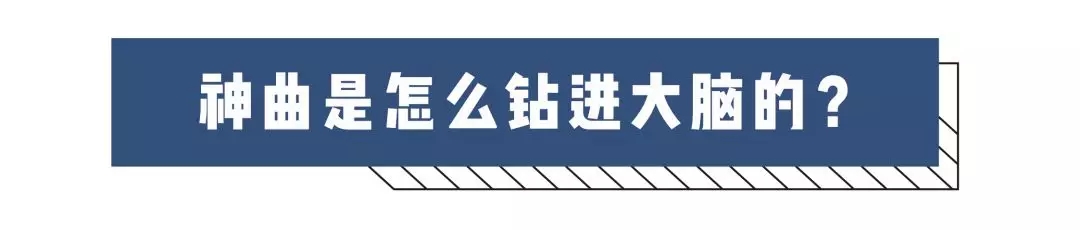 5.webp.jpg