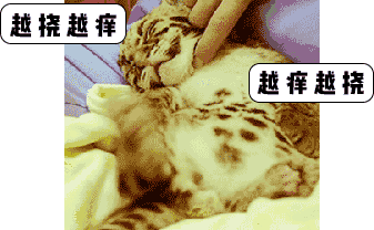 8.gif
