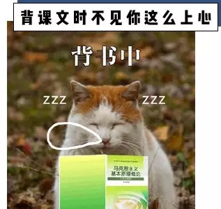 12.webp.jpg