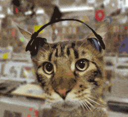 20.gif