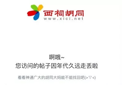 4.webp (1).jpg