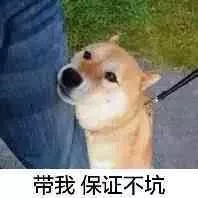 11.png