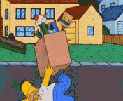 13.gif