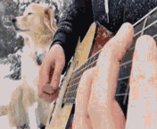 1.gif