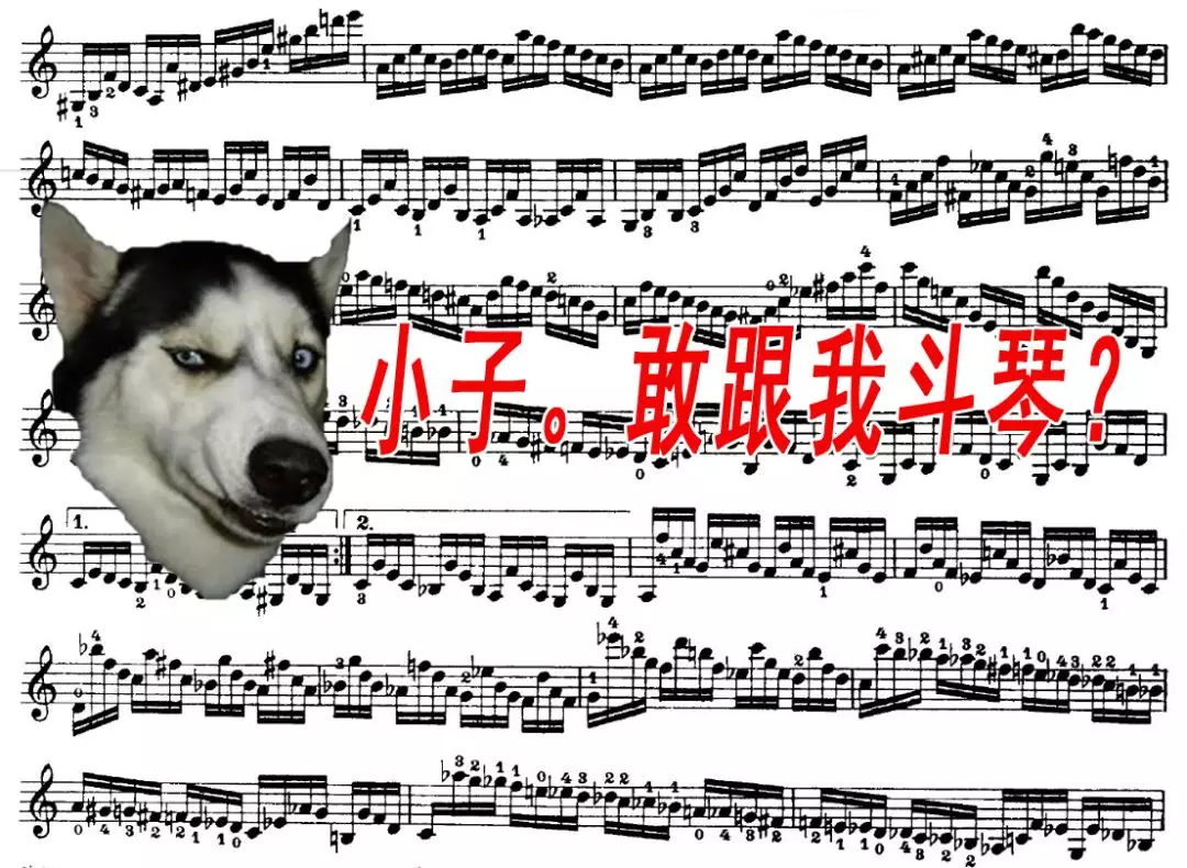 6.png