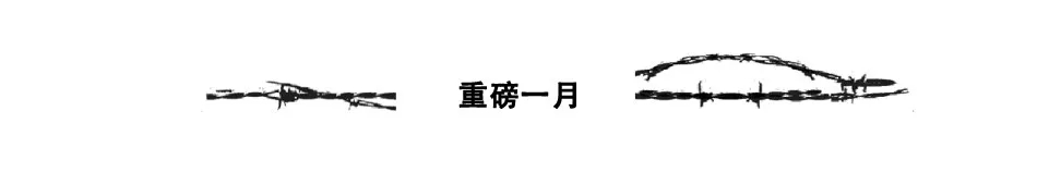 10.webp.jpg