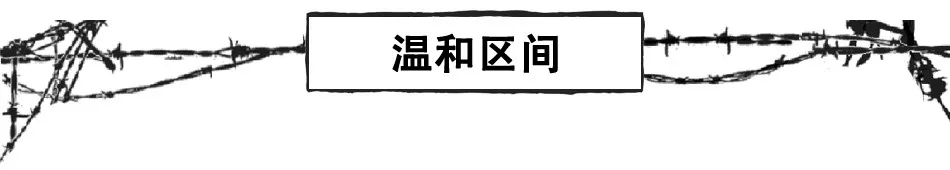 17.webp.jpg