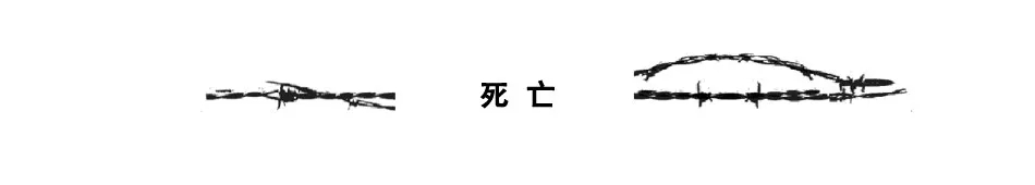 18.webp.jpg