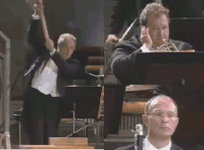 1 (1).gif