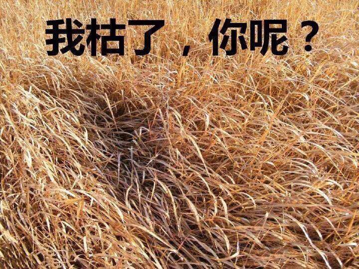 微信图片_20190106225858.jpg