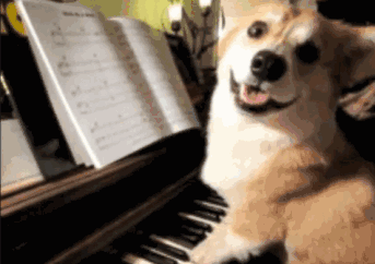 soogif12.gif