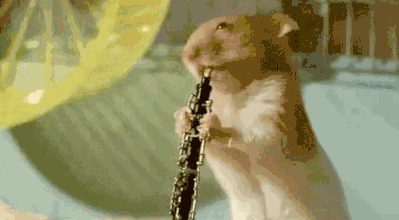 soogif15.gif