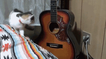 微信图片_20190109221745.gif