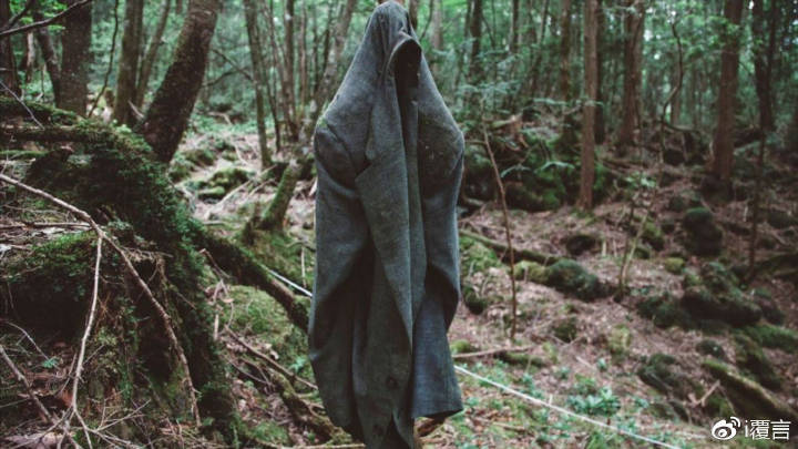 青木原树海的一处