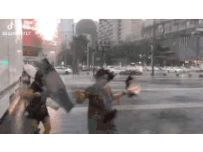 24 (2).gif