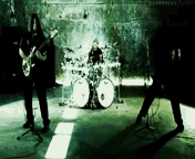 5.gif