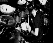 6.gif