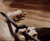 3.gif