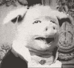 10.gif