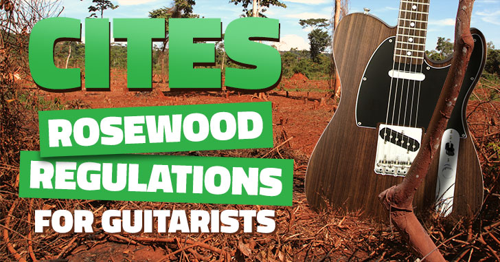 cites-rosewood-guitar.jpg